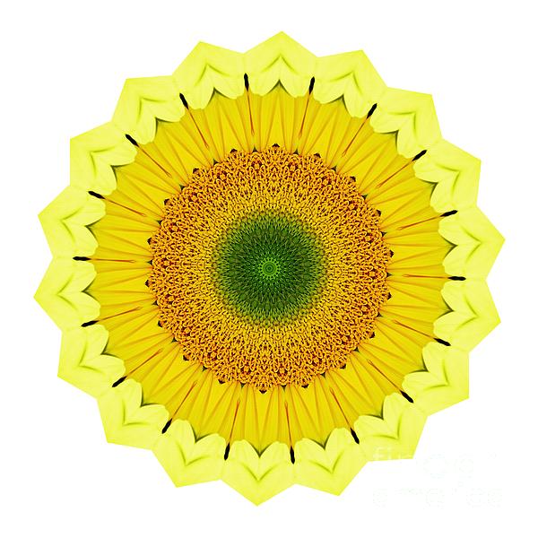 Happy Sunflower Mandala By Kaye Menner Photograph