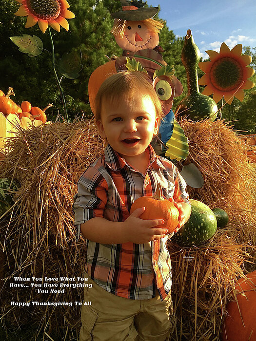 Thanksgiving Photographs