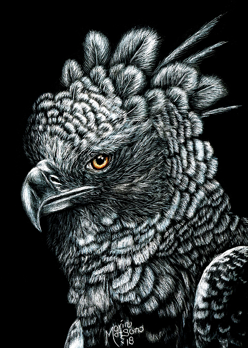 Harpy Eagle Ornament by Monique Morin Matson - Pixels