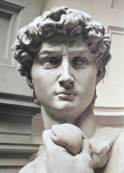 Head of David by Michelangelo Greeting Card for Sale by Carl Purcell