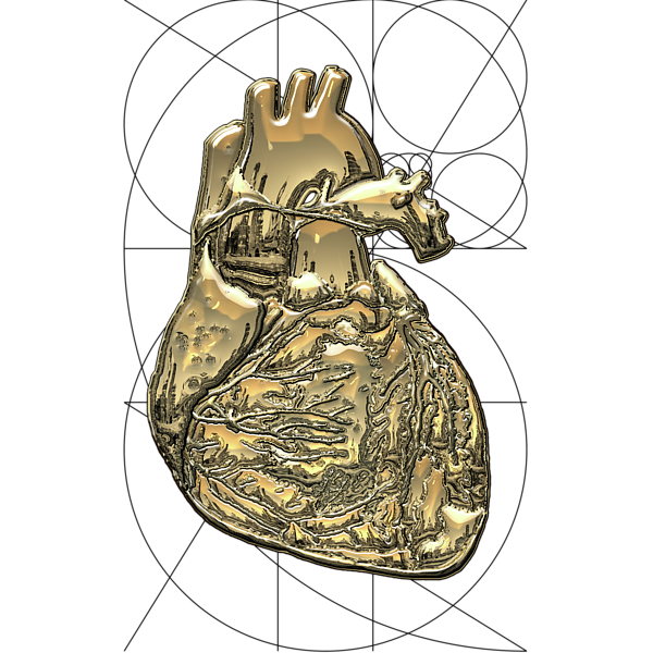 golden human heart