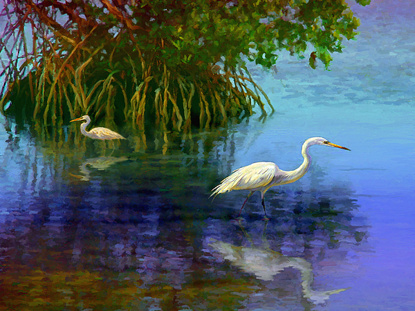 David Van Hulst - Herons in Mangroves
