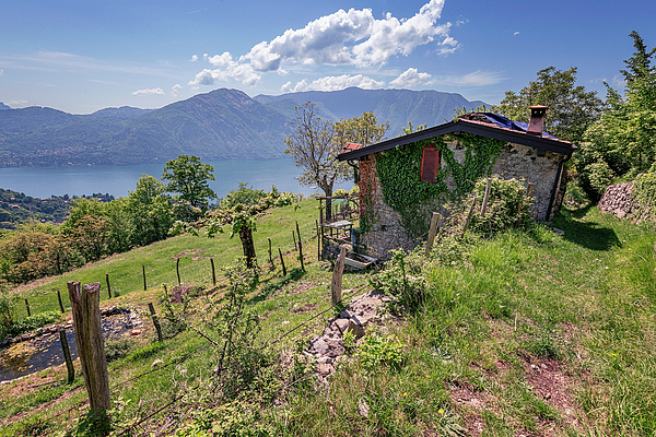 Joan Carroll - High Country Farm Above Tremezzo Lake Como Italy