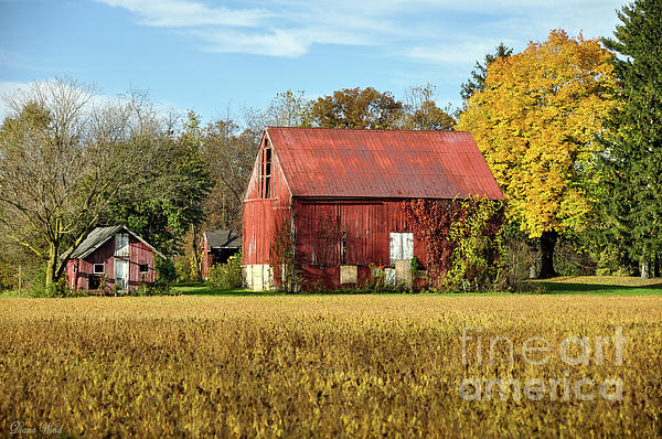 Historic Red Barn Sunnyside Farm Mt Laurel Nj Hand Towel For