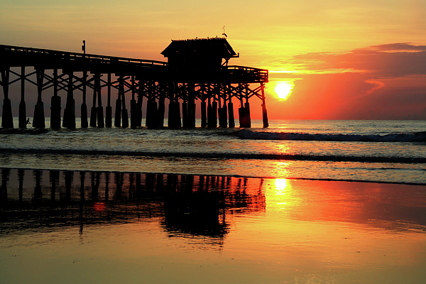 Carol Montoya - Hot Sunrise Over Cocoa Beach Pier 