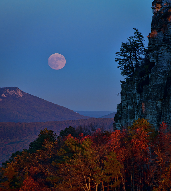 Landscape Photographs