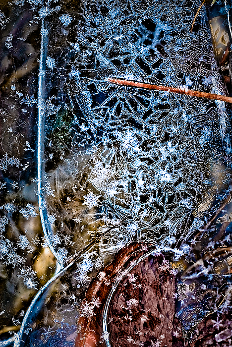Ice Abstract - Pbog Photograph