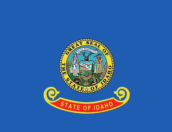STDKNSK9 Mens Idaho State USA Flag Puzzle Boardshorts Beach Shorts 