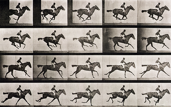 jockey on a galloping horse eadweard muybridge