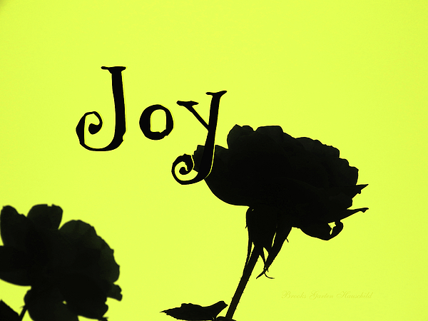 Brooks Garten Hauschild - Joy Rose Silhouette - Original Floral Photographic Design - Roses