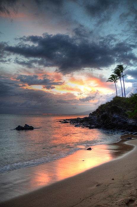 Jigsaw Puzzle Maui Hawaii Beach Palm Tree Tropical Sunset 500-Pieces 