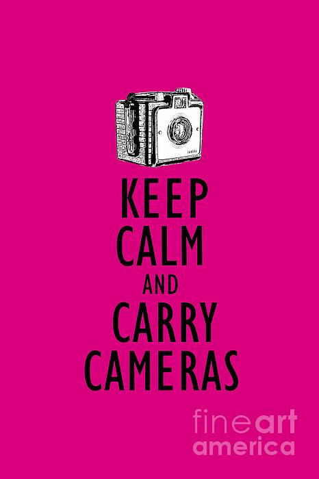 Keep Calm And Carry Cameras Photographer Tee Photograph