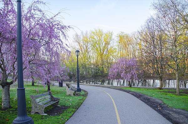 Kelly drive fashion bike trail