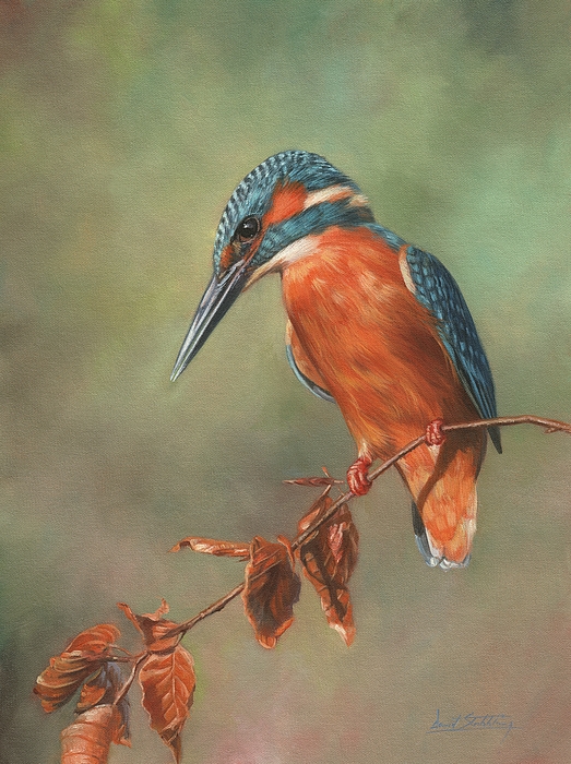 Kingfisher Perched Painting