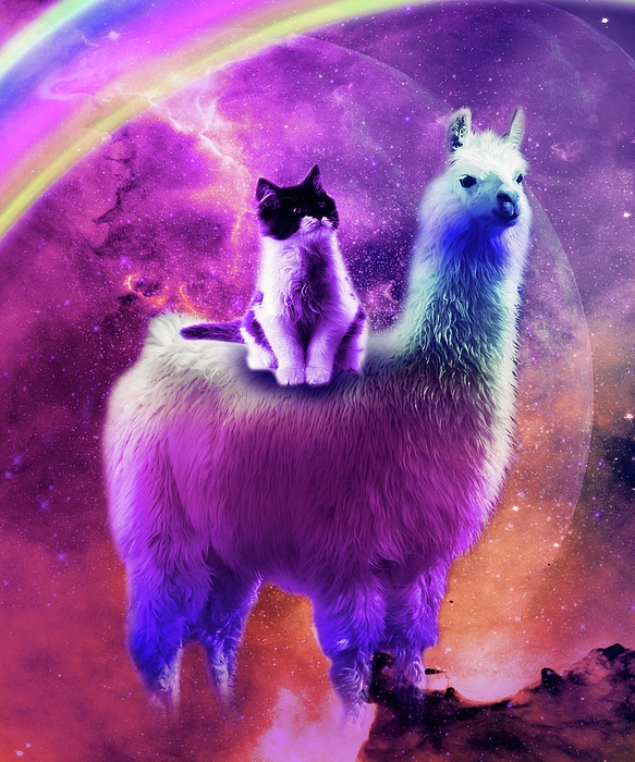 Llama Love Images – Browse 7,601 Stock Photos, Vectors, and Video | Adobe  Stock