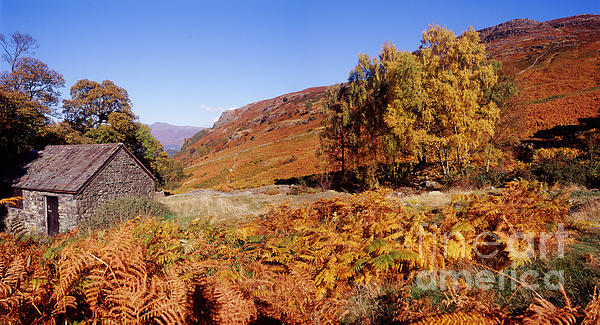 Landscape Art