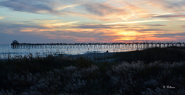 Coastal Art