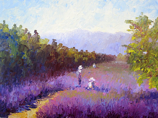 Terry  Chacon - Lavender Fields