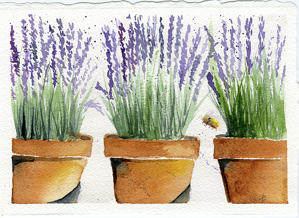 https://images.fineartamerica.com/images/artworkimages/medium/1/lavender-in-3-pots-ana-baird.jpg