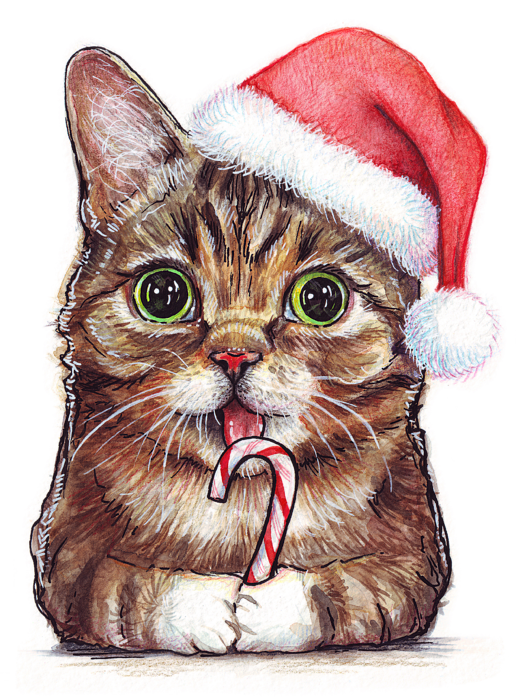 Details about   Funny Christmas Cat Sock Paw Xmas Sticker Portrait 