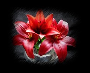 Lillies In Red Photograph