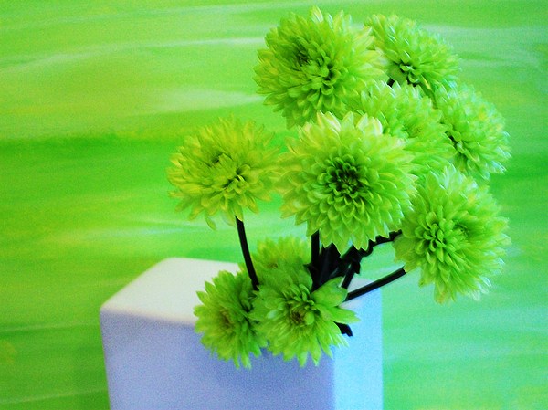 Marsha Heiken - Lime Flowers