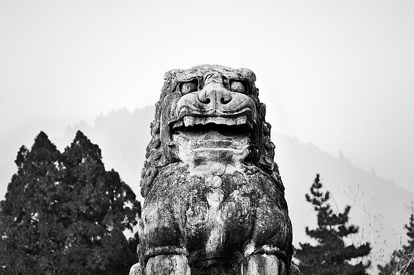 Lion guard at the tomb of Empress Wu Zetian. Qianling, China. Black and ...