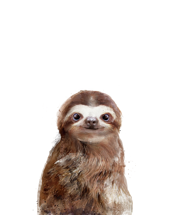 Slothy (@slotha) / X