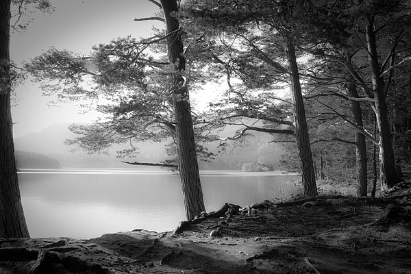 Loch An Eilein Photograph
