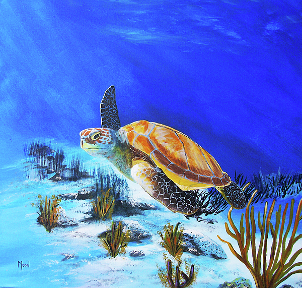 https://images.fineartamerica.com/images/artworkimages/medium/1/loggerhead-sea-turtle-john-moon.jpg
