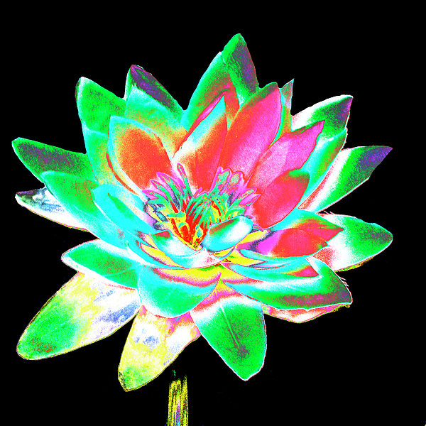 Flower Art