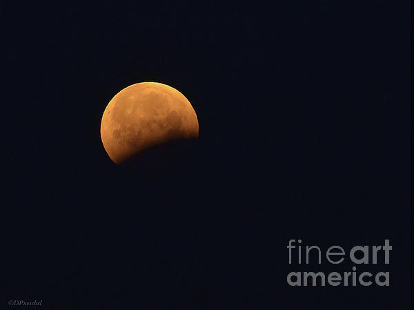 Debby Pueschel - Lunar Blood Moon Eclipse