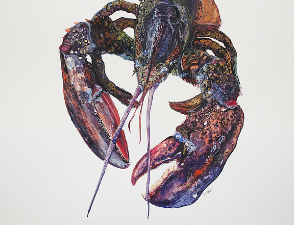 Maine Art