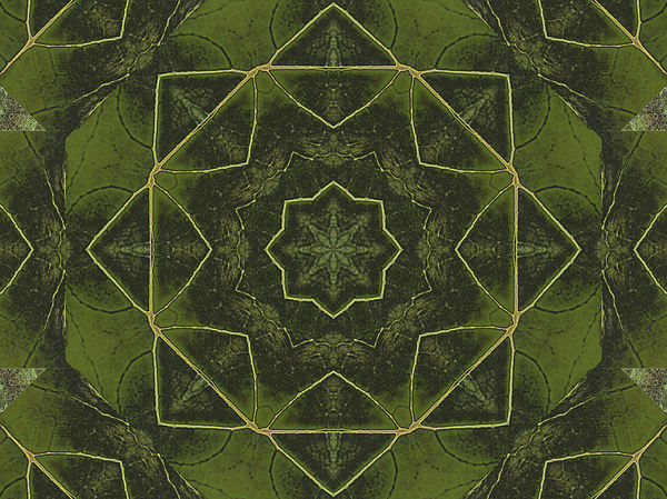 Maple Leaf Kaleidoscope Photograph
