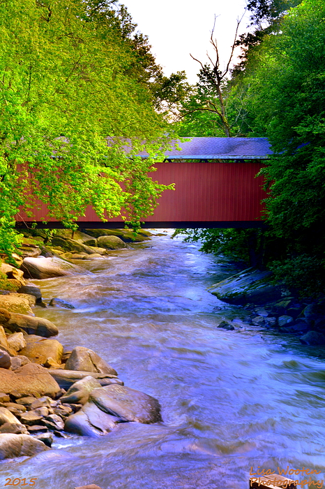 Lisa Wooten - McConnells Mill Covered Bridge