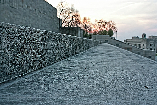 Memorial Steps Photograph