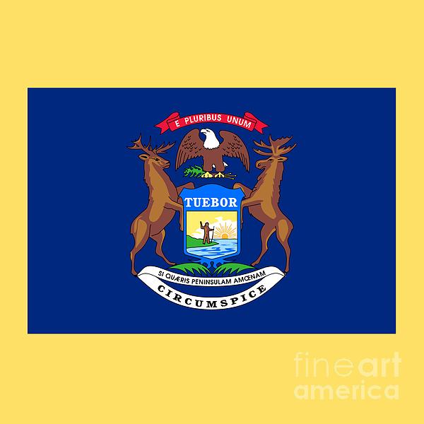 Michigan Flag Digital Art
