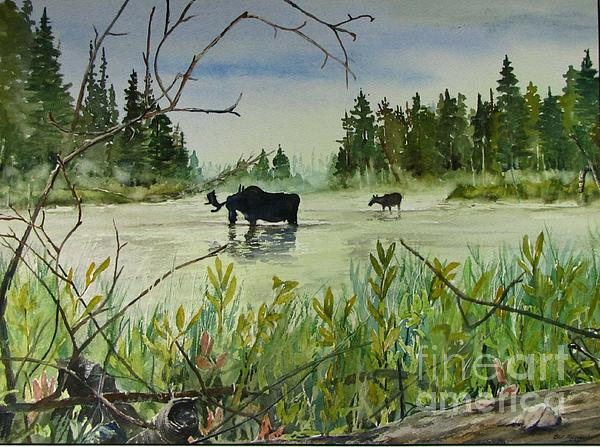 Nature Paintings