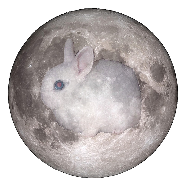 Moon Bunny Artist Glove