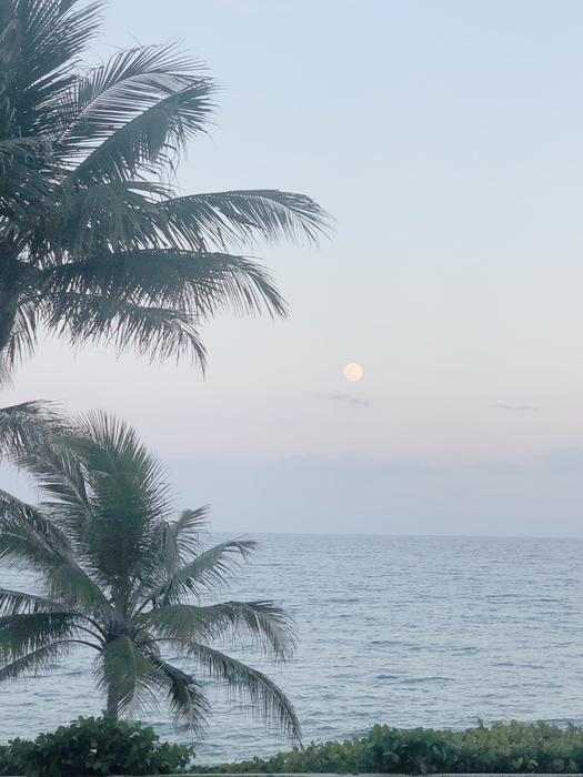 Moonrise over Beach Round Beach Towel