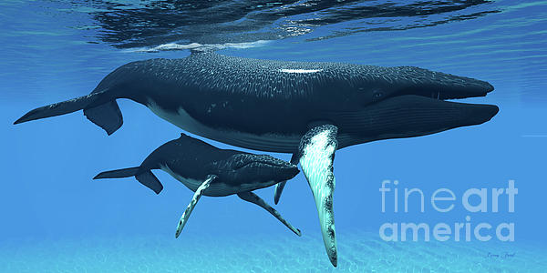 Mother and Baby Humpback Whales Jigsaw Puzzle