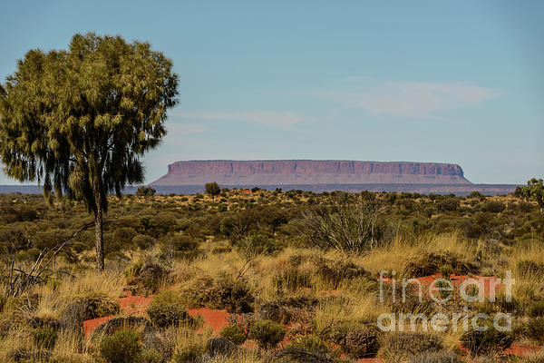 Landscape Photographs