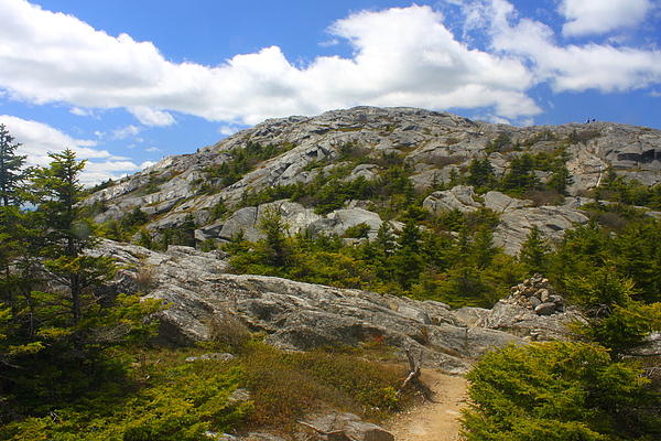 Mount Monadnock Summit From Pumpelly Trail Photograph