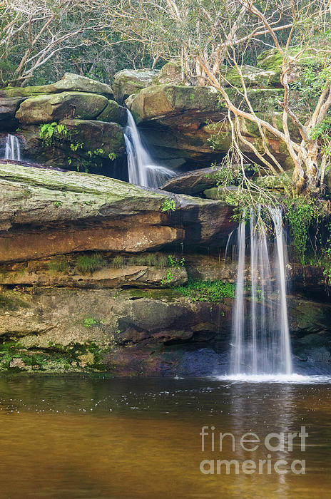 Werner Padarin - Mullet Creek Falls