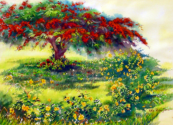 Estela Robles - My Flamboyant Tree