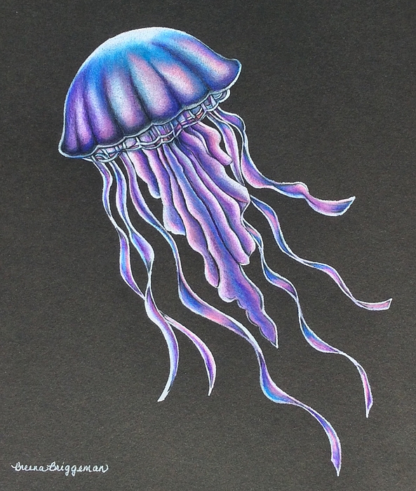 https://images.fineartamerica.com/images/artworkimages/medium/1/my-little-jellyfish-breena-briggeman.jpg