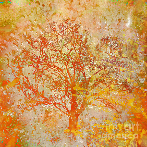 Beverly Guilliams - My Tree Still Bursting with The Joy of Autumn