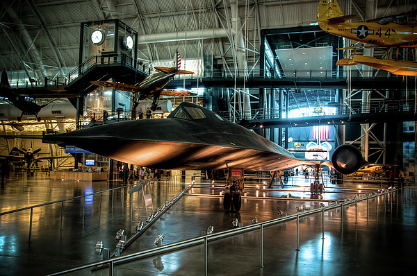 Blackbird Photographs