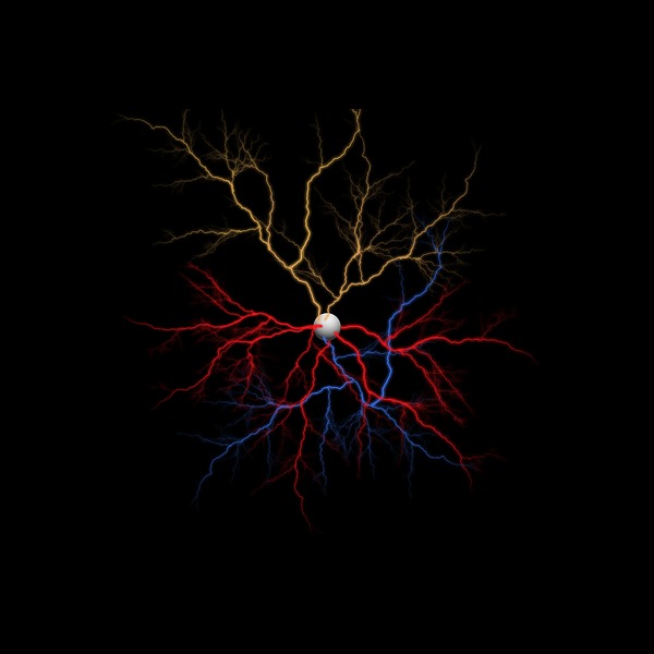 Neuron X1x Example Digital Art