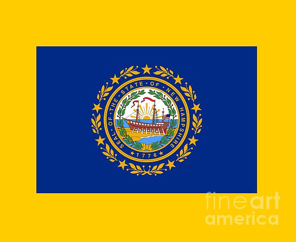 New Hampshire Flag Digital Art